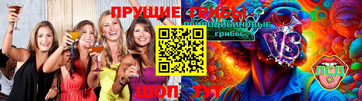 Узловая  Галлюциногенные грибы мицелий  Вход с VPN 
